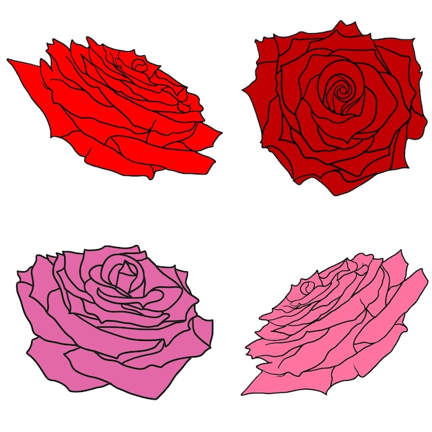 Mooie set schets van een roze bloem op een witte achtergrond