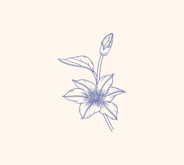 Mooie vectorbloem 4