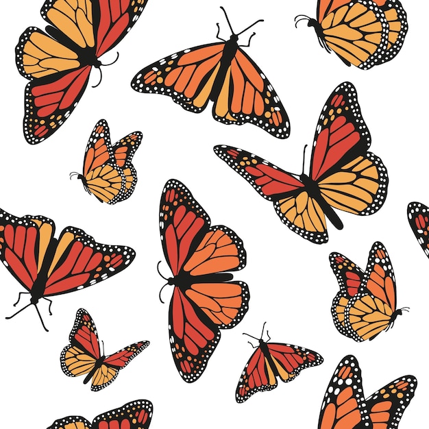 Mooie vlinders Monarch op wit naadloos patroon als achtergrond