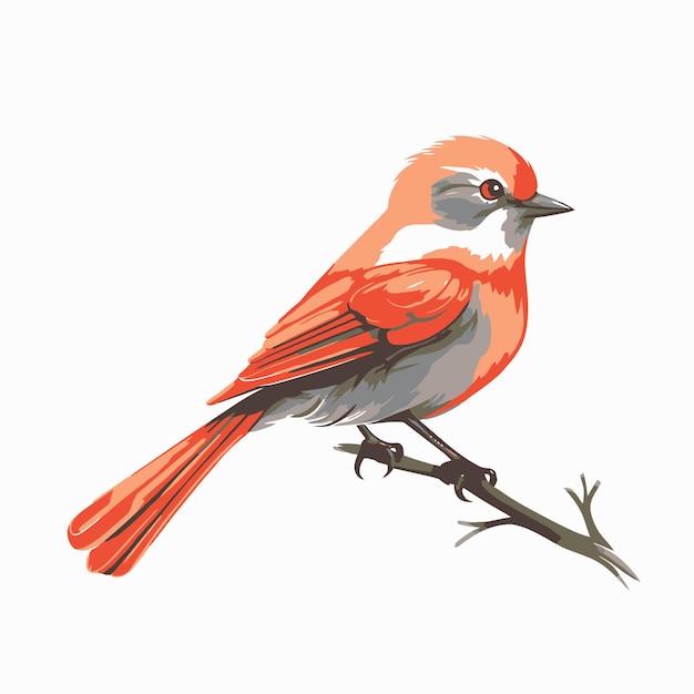 Mooie vogelillustratie
