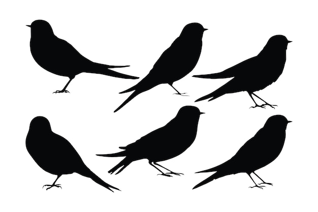 Mooie vogels zitten en vliegen in verschillende posities Wilde zwaluwen vogel vliegende silhouetten op een witte achtergrond Zwaluwen volledige lichaam silhouet collectie Wilde zwaluwen vogel silhouet bundel