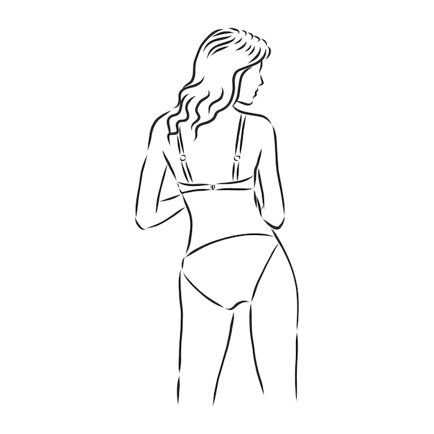 Mooie vrouwenlichamen in bikini vectorillustratie zwempak vectorschetsillustratie