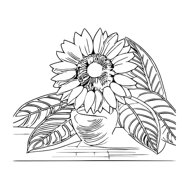 Mooie zonnebloem kleurboek zonnebeloem kleurpagina zonnebrand lijnkunst Schets bloemen
