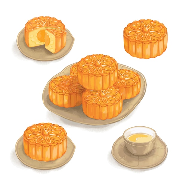 Vector moon cakes mid autumn festival set