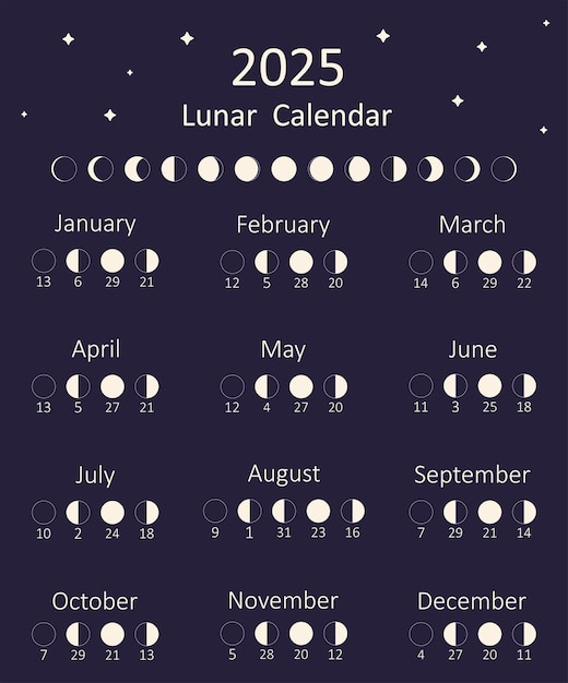 Vector moon calendar for 2025 year lunar calendar vector illustration