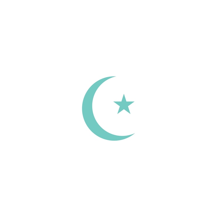 Vector moon icon logo flat design illustration