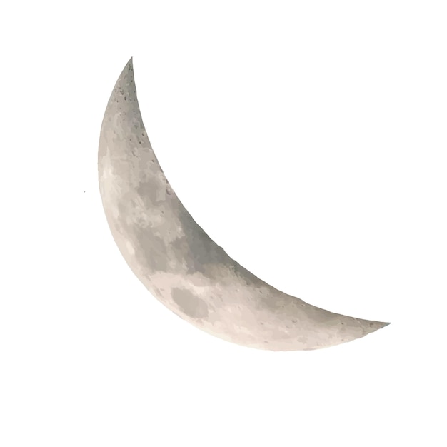 Vector moon illustration vector