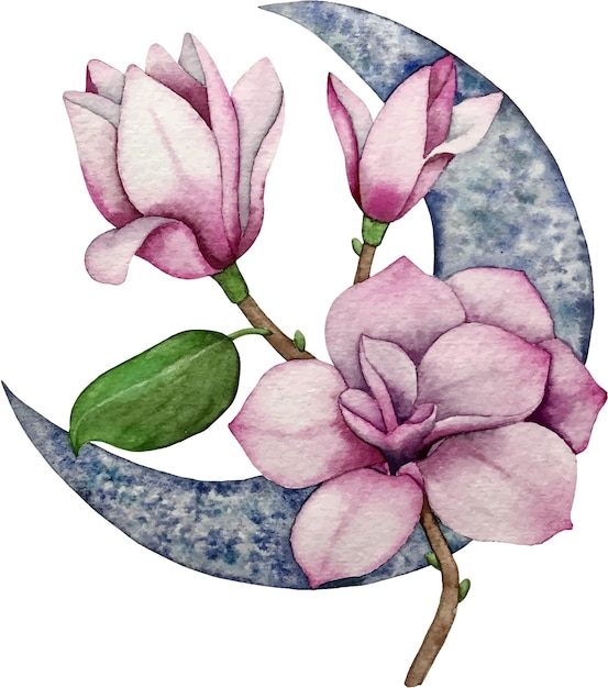 Vector moon and magnolia watercolor