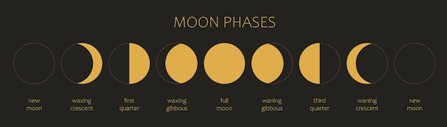 The moon moon phases on a black background the whole cycle from the new moon to the full moon