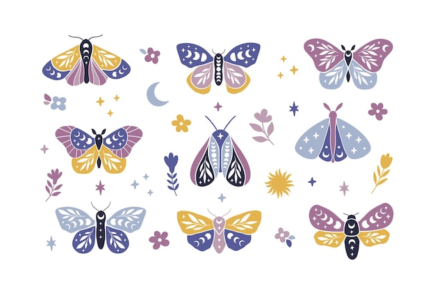 Moon moth vector illustration set