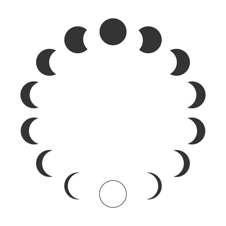 Vector 月の相 カレンダー 月の周期 衰退と<unk>化 白い背景に隔離された月のシルエット