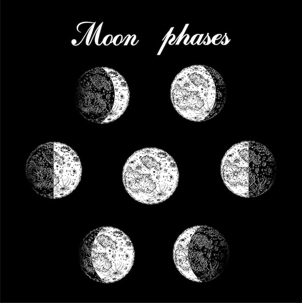 Moon phases. Engraved hand drawn in old vintage style.