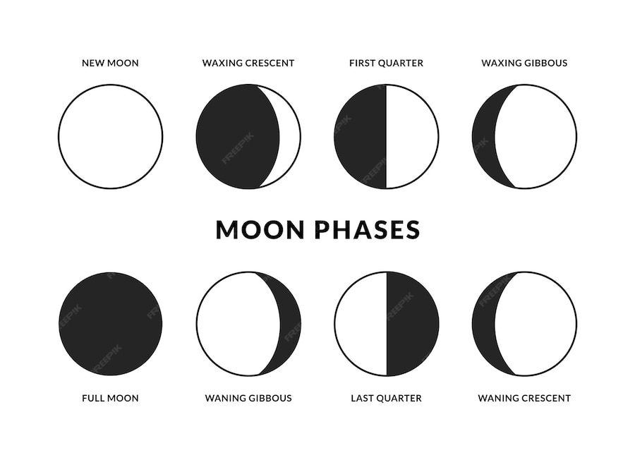 Premium Vector  Moon phases icons set. lunar calendar. new, full moon, waning crescent, first 