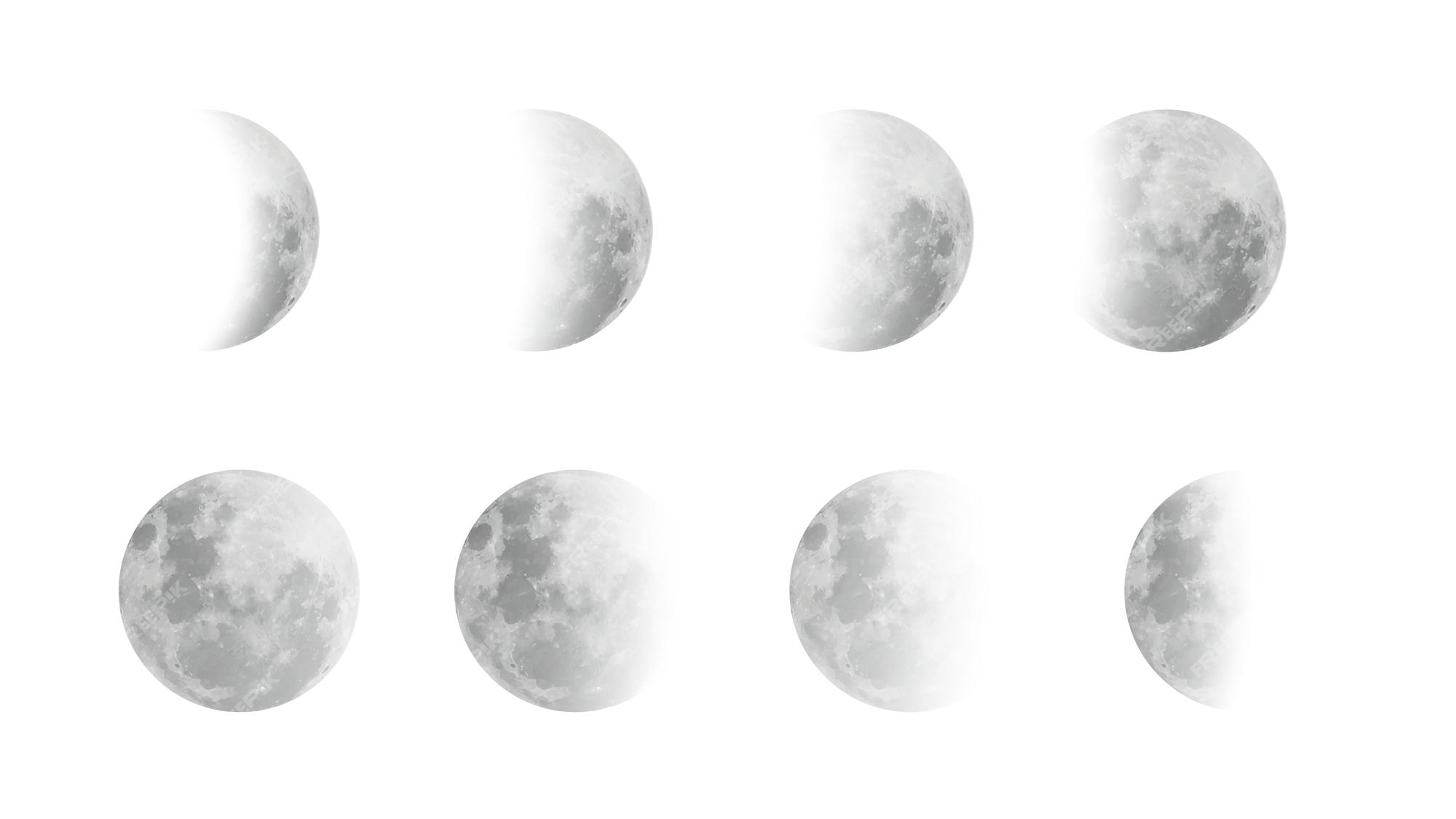 Different Phases Of Moon On Transparent Background Vector Stock