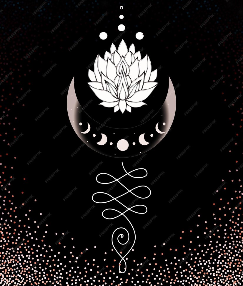 Premium Vector | Moon phases with lotus flower in black and pink