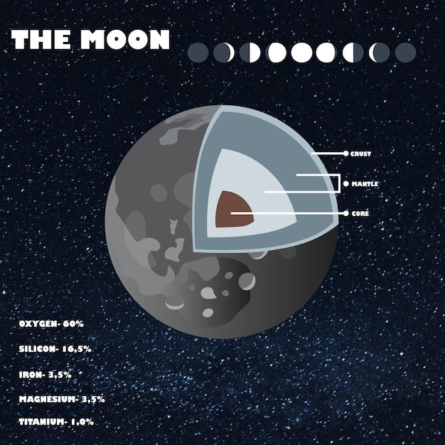 Vector moon phases