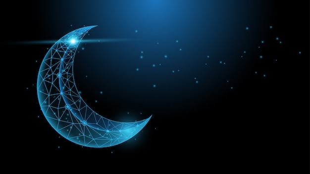 Vector the moon polygonal wireframe with night sky abstract background