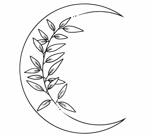 Moon with wild leaves