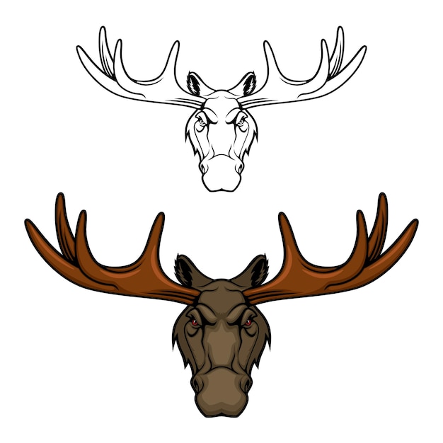 Vector moose or elk head with antlers wild animal icon