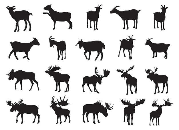 Vector moose and goat silhouette