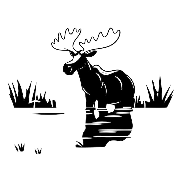 Moose in a pond Vector illustration of a moose