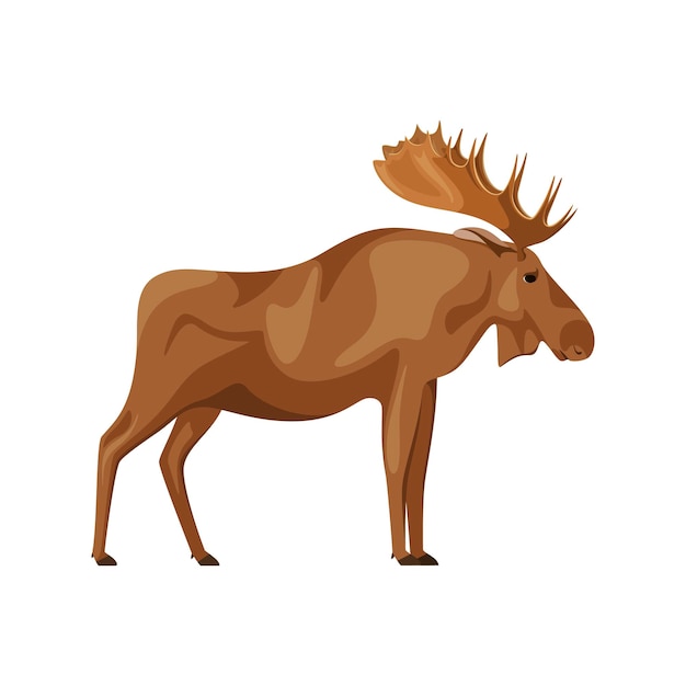 Moose on a white background Cartoon design