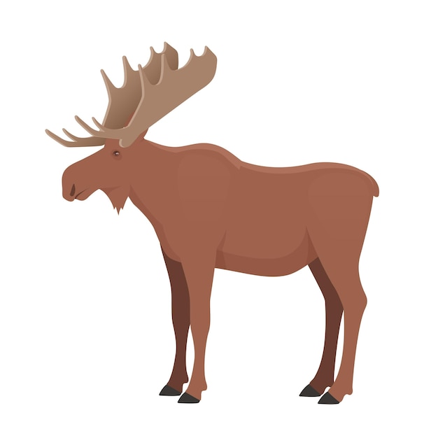 Vector moose