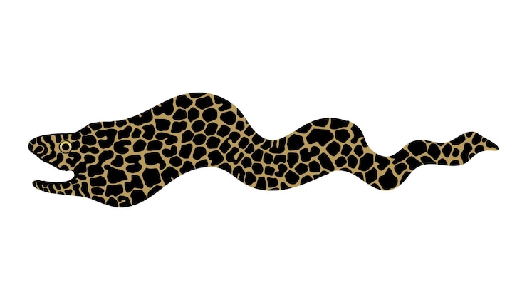 Vector moray icon simple drawing of conger eel spotted fish