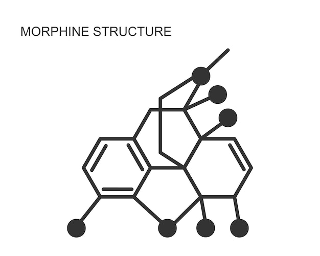 Morfine chemische moleculaire structuur icoon Alkaloïde met analgetisch effect
