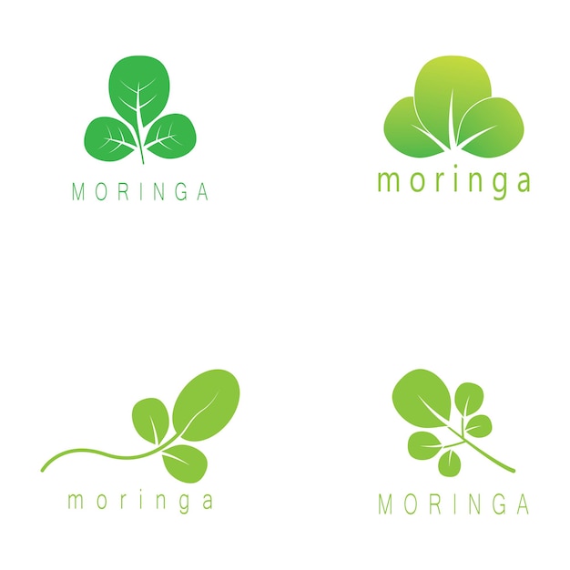 Moringa blad natuur icoon vector illustratie sjabloon ontwerp