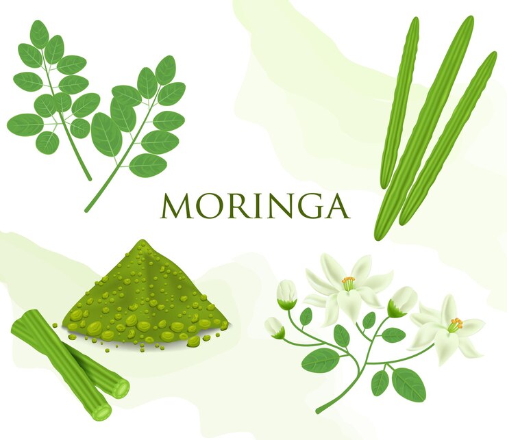 Moringa is een eetbare groene plant