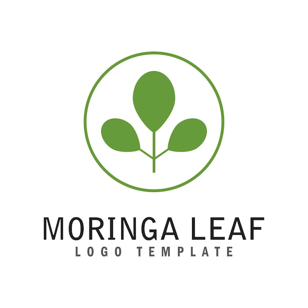 Moringa foglia logo modello simbolo vettore natura