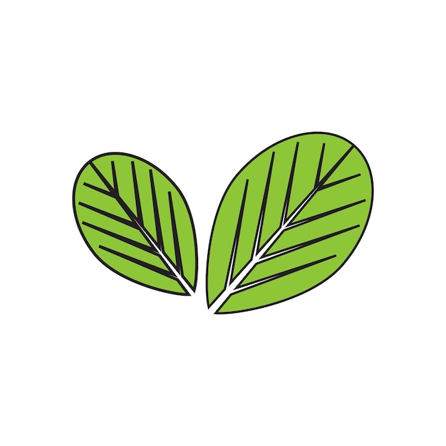 Шаблон логотипа моринги листьев вектор символ природы