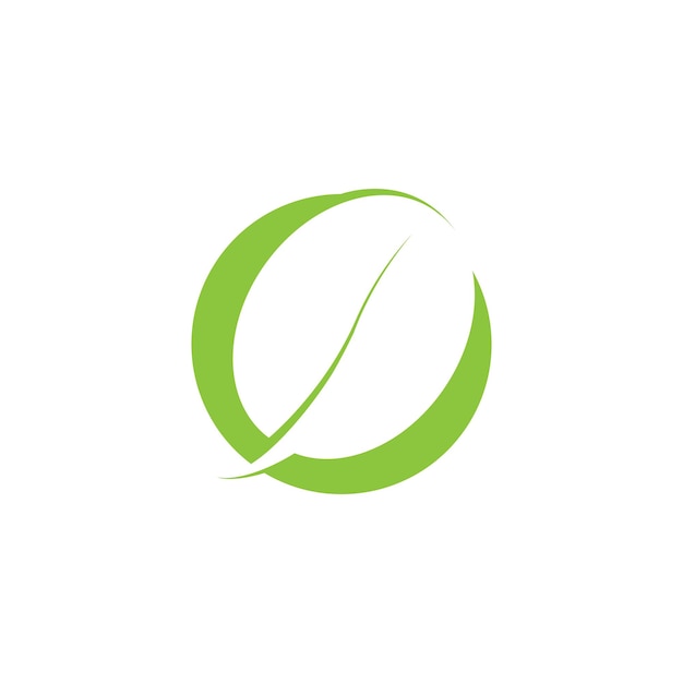Moringa leaf nature icon vector illustration template design