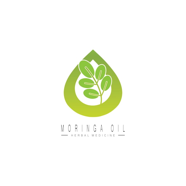 Moringa leaf nature icon vector illustration template design