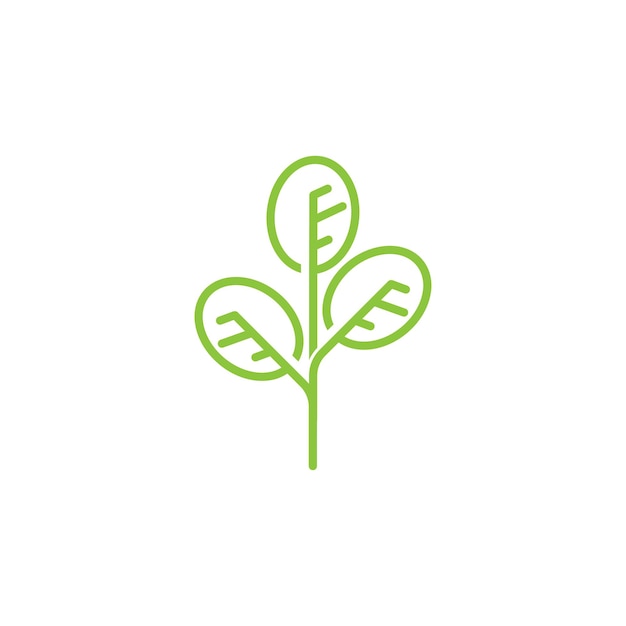 Vector moringa leaf nature icon vector illustration template design