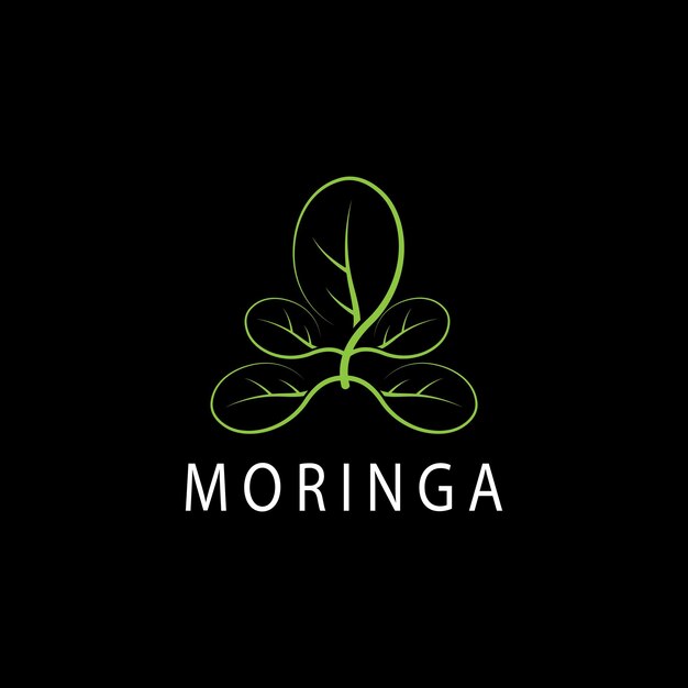 Vector moringa leaf nature icon vector illustration template design