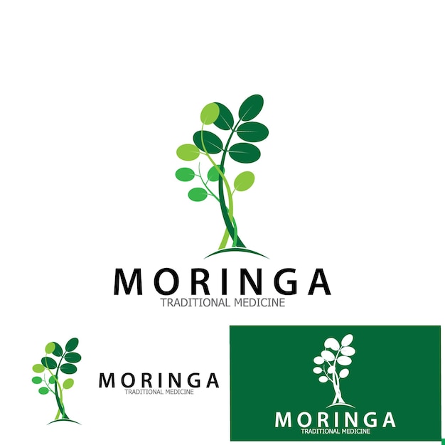 Moringa 잎 전통 의학 아이콘 벡터 일러스트 템플릿 디자인