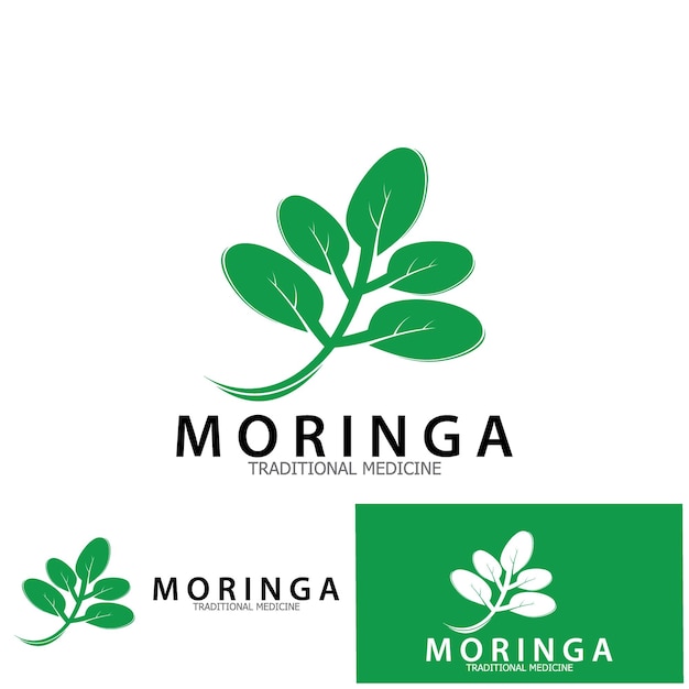 Moringa 잎 전통 의학 아이콘 벡터 일러스트 템플릿 디자인