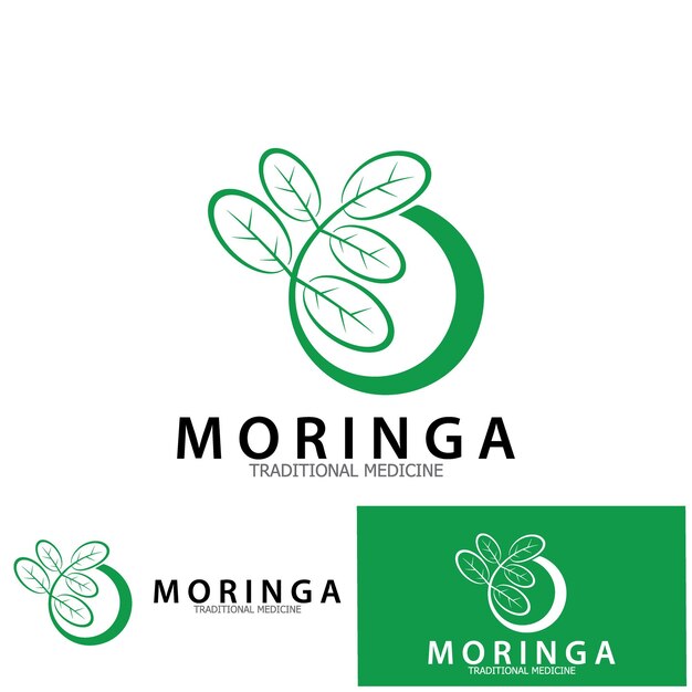 Moringa 잎 전통 의학 아이콘 벡터 일러스트 템플릿 디자인