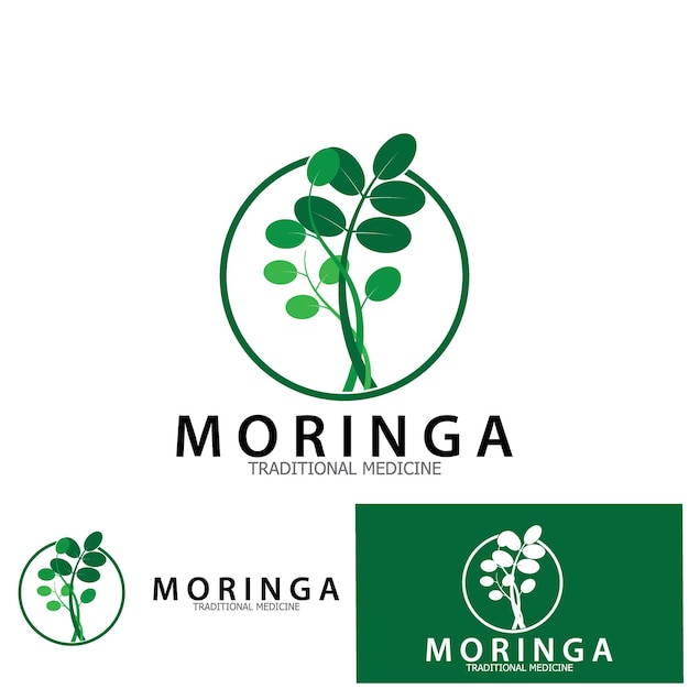 Moringa 잎 전통 의학 아이콘 벡터 일러스트 템플릿 디자인