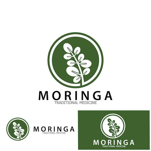 Moringa 잎 전통 의학 아이콘 벡터 일러스트 템플릿 디자인