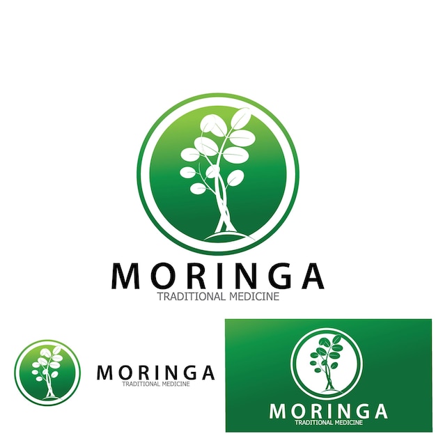 Moringa 잎 전통 의학 아이콘 벡터 일러스트 템플릿 디자인