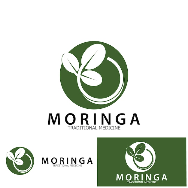 Moringa 잎 전통 의학 아이콘 벡터 일러스트 템플릿 디자인