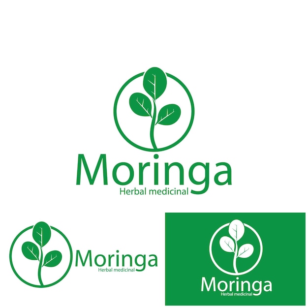 Moringa 잎 아이콘 벡터 일러스트 템플릿 디자인