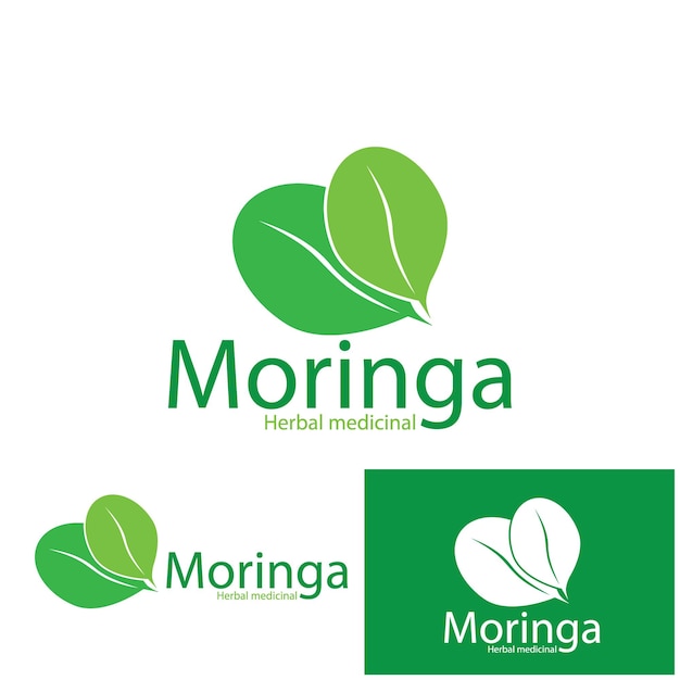 Moringa leaves icon vector illustration template design