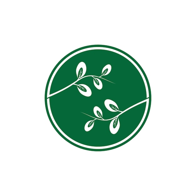 Moringa verlaat pictogram vector illustratie sjabloonontwerp