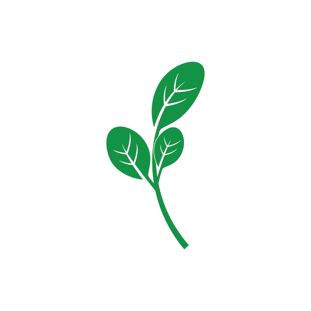 Moringa verlaat pictogram vector illustratie sjabloonontwerp