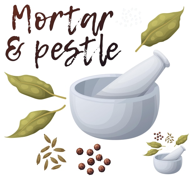 mortar and pestle with spices and herbs icon isolated on white background cartoon vector ingredient