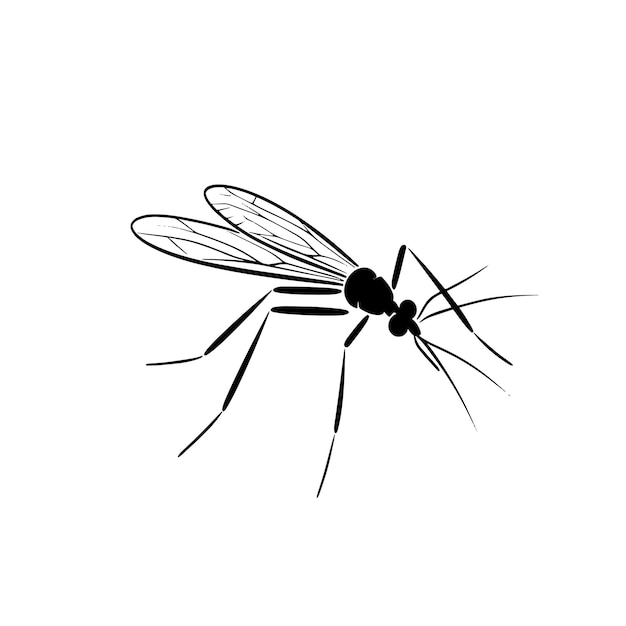 Vector mosquito aedes aegypti vector illustration